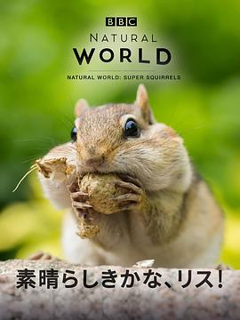 超級松鼠